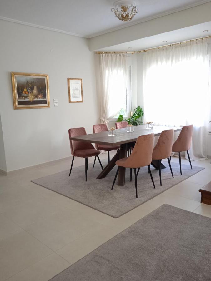 Magnolia House In Ioanninaアパートメント エクステリア 写真
